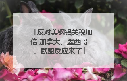 反对美钢铝关税加倍 加拿大、墨西哥、欧盟反应来了