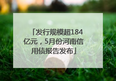 发行规模超184亿元，5月份河南信用债报告发布