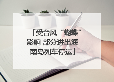 受台风“蝴蝶”影响 部分进出海南岛列车停运