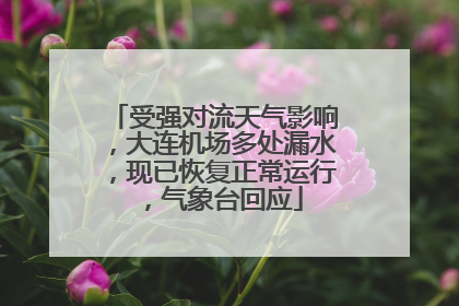 受强对流天气影响，大连机场多处漏水，现已恢复正常运行，气象台回应