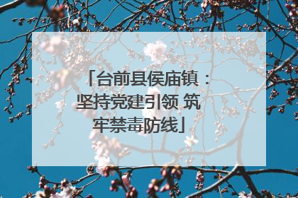 台前县侯庙镇：坚持党建引领 筑牢禁毒防线