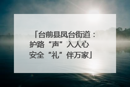 台前县凤台街道：护路“声”入人心 安全“礼”伴万家