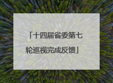 十四届省委第七轮巡视完成反馈