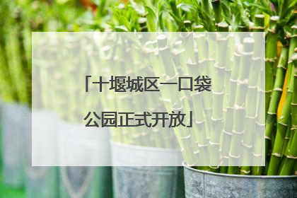 十堰城区一口袋公园正式开放
