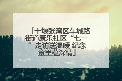 十堰张湾区车城路街道康乐社区“七一”走访送温暖 纪念章里蕴深情