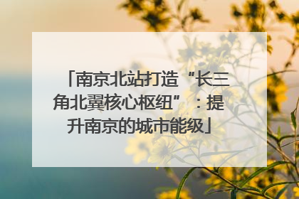 南京北站打造“长三角北翼核心枢纽”：提升南京的城市能级