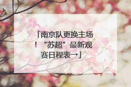 南京队更换主场！“苏超”最新观赛日程表→