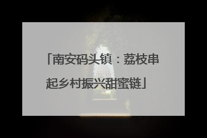 南安码头镇：荔枝串起乡村振兴甜蜜链