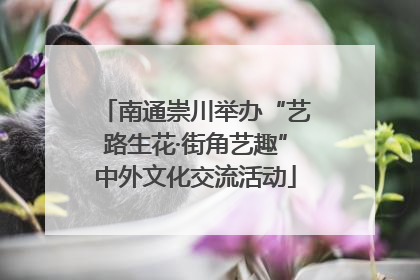 南通崇川举办“艺路生花·街角艺趣”中外文化交流活动