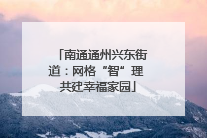 南通通州兴东街道：网格“智”理 共建幸福家园
