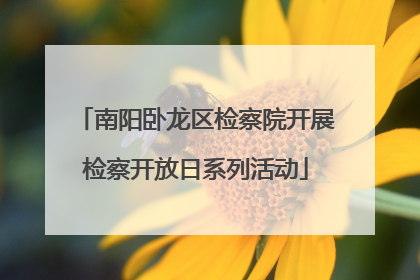 南阳卧龙区检察院开展检察开放日系列活动