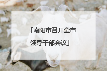 南阳市召开全市领导干部会议