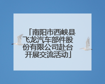 南阳市西峡县飞龙汽车部件股份有限公司赴台开展交流活动