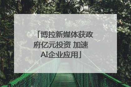 博拉新媒体获政府亿元投资 加速AI企业应用