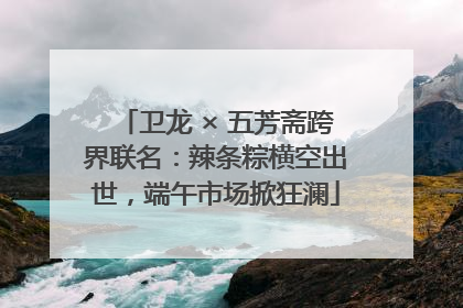 卫龙 × 五芳斋跨界联名：辣条粽横空出世，端午市场掀狂澜