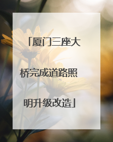 厦门三座大桥完成道路照明升级改造