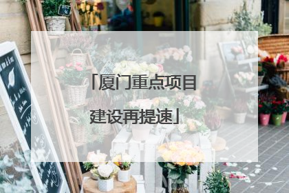 厦门重点项目建设再提速