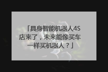 具身智能机器人4S店来了，未来能像买车一样买机器人？