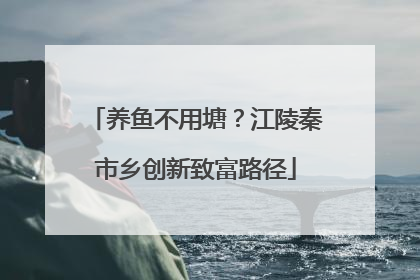 养鱼不用塘？江陵秦市乡创新致富路径