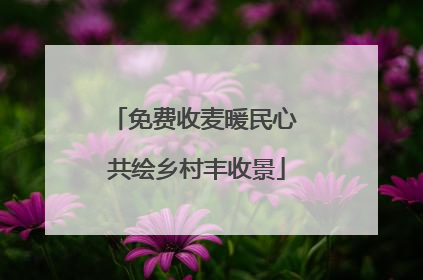 免费收麦暖民心 共绘乡村丰收景