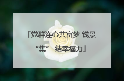 党群连心共富梦 钱景 “集” 结幸福力