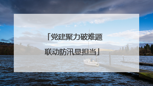 党建聚力破难题 联动防汛显担当