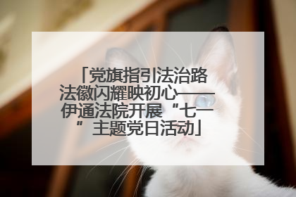 党旗指引法治路 法徽闪耀映初心——伊通法院开展“七一”主题党日活动
