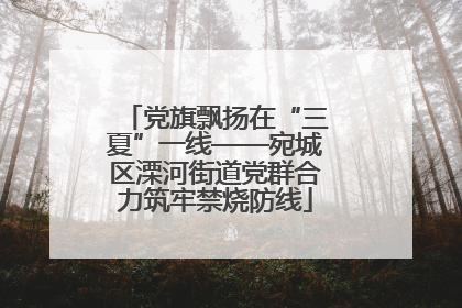党旗飘扬在“三夏”一线——宛城区溧河街道党群合力筑牢禁烧防线