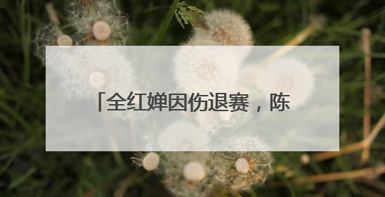 全红婵因伤退赛，陈芋汐新搭档是她！