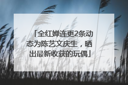 全红婵连更2条动态为陈艺文庆生，晒出最新收获的玩偶