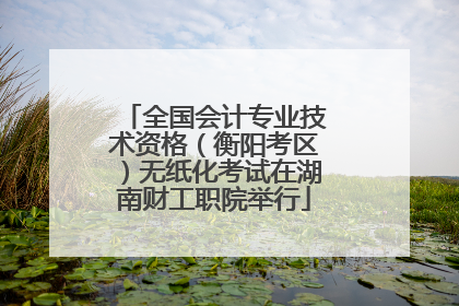 全国会计专业技术资格（衡阳考区）无纸化考试在湖南财工职院举行
