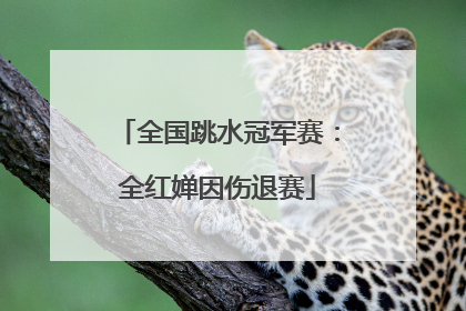 全国跳水冠军赛：全红婵因伤退赛