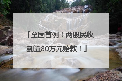 全国首例！两股民收到近80万元赔款！