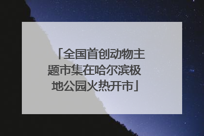 全国首创动物主题市集在哈尔滨极地公园火热开市