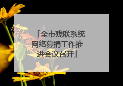 全市残联系统网络募捐工作推进会议召开