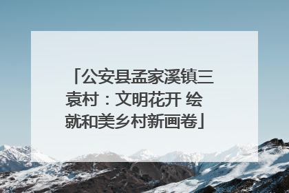 公安县孟家溪镇三袁村：文明花开 绘就和美乡村新画卷