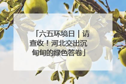 六五环境日｜请查收！河北交出沉甸甸的绿色答卷