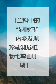 兰科中的“显眼包”！内乡发现珍稀濒危植物毛萼山珊瑚