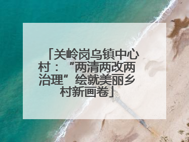 关岭岗乌镇中心村：“两清两改两治理”绘就美丽乡村新画卷