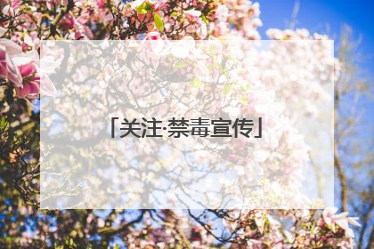 关注·禁毒宣传