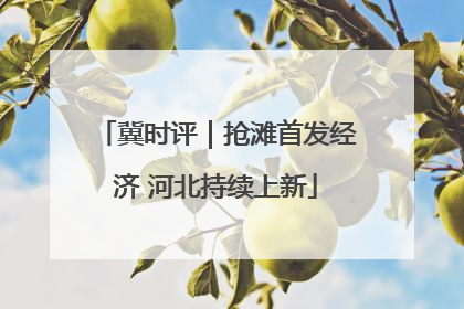 冀时评｜抢滩首发经济 河北持续上新