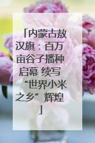 内蒙古敖汉旗：百万亩谷子播种启幕 续写“世界小米之乡”辉煌
