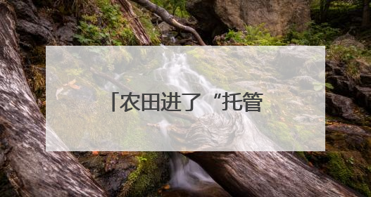 农田进了“托管班”、一地双收赚翻了……各地夏粮丰收有“粮”方