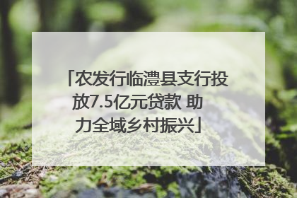 农发行临澧县支行投放7.5亿元贷款 助力全域乡村振兴