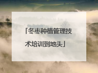 冬枣种植管理技术培训到地头