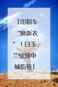 出租车“换新衣”！白玉兰绽放申城街巷