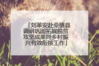 刘革安赴桑植县调研巩固拓展脱贫攻坚成果同乡村振兴有效衔接工作