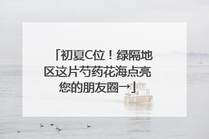 初夏C位！绿隔地区这片芍药花海点亮您的朋友圈→