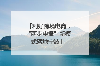 利好跨境电商，“两步申报”新模式落地宁波
