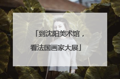 到沈阳美术馆，看法国画家大展